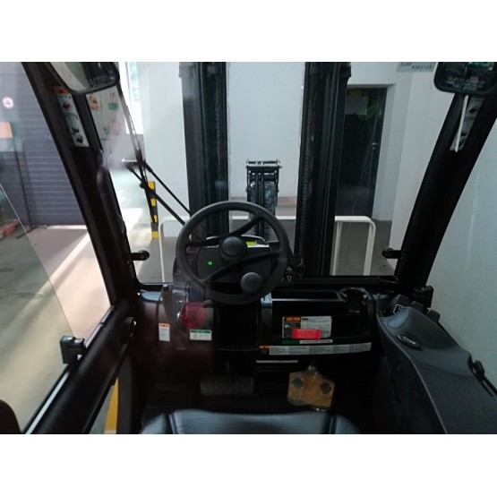 Dujinis krautuvas Yale GLP25VX D875B05091S